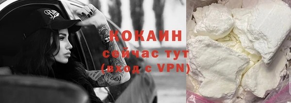 спиды Новодвинск