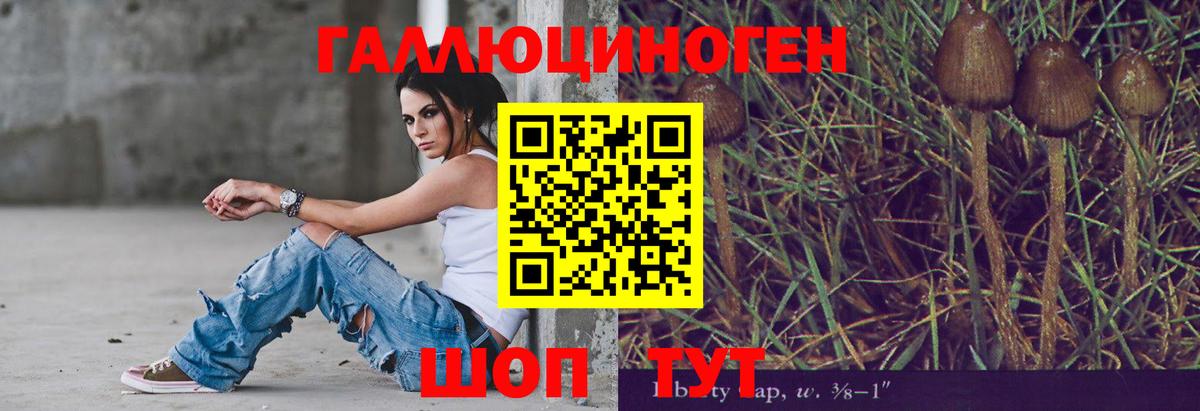 Галлюциногенные грибы ЛСД  Псилоцибиновые грибы GOLDEN TEACHER  Майский 