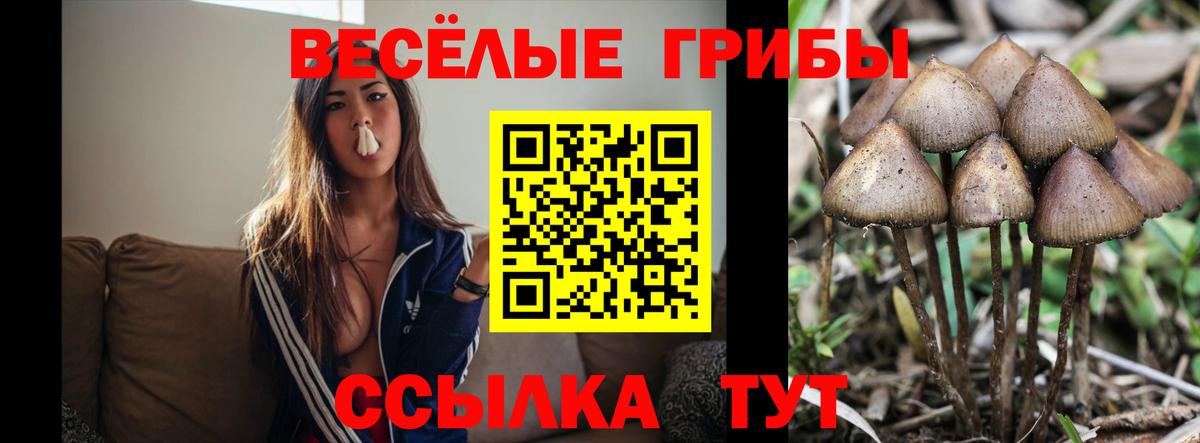 Майский  Галлюциногенные грибы GOLDEN TEACHER  Вход с VPN 