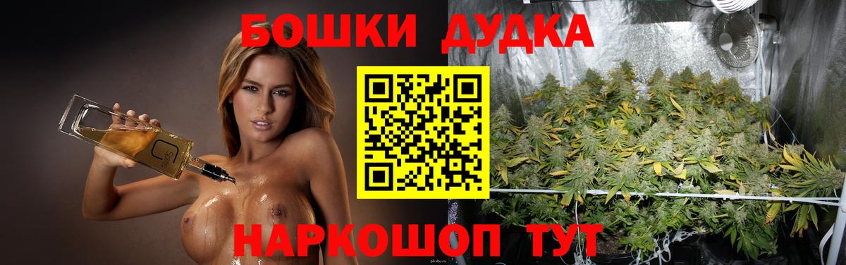 Бошки Шишки план Майский